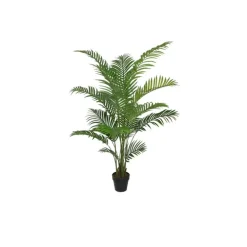 Areca Palme Green