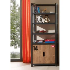 Bogreol i fyrretræ – Alex Reol, natur