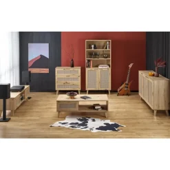 BORNEO REG-1 reol, artisan eg / Sort