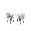 Børne Spisebordssæt Polar 60 x 80 cn med 2 Spisebordsstole i Rosa Velour