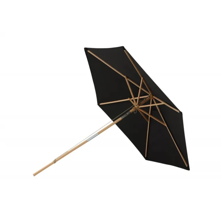 Corypho Parasol - Sort,Natur