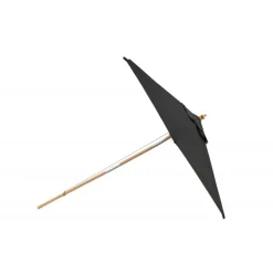 Corypho Parasol - Sort,Natur