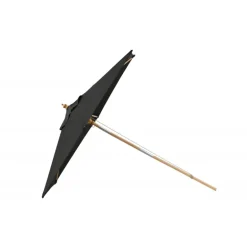 Corypho Parasol - Sort,Natur