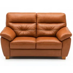 Dalby 2 pers lædersofa