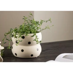 Dapne Kruka - Sort og Hvid