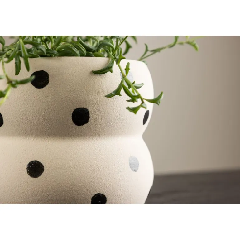 Dapne Kruka - Sort og Hvid