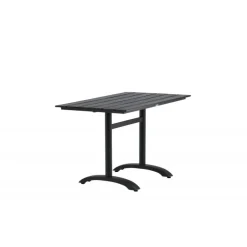Denver t Spisebord 120 x 70 cm - Sort Aintwood og Aluminium