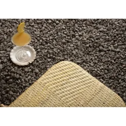 Ellie Solseng - Natur