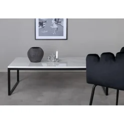 Estelle Ægte hvid Marmor Sofabord - 120 x 60cm