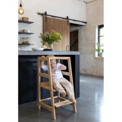 Læringstårn i bøg – Forrest, natur