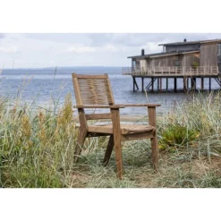 Peter Havestol - Brun