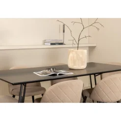 Petra Spisebordssæt - Beige og Sort