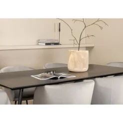 Petra Spisebordssæt - Sort og Lysegrå