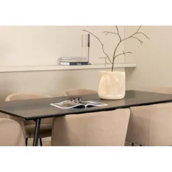 Petra t Spisebordssæt - Beige og Sort