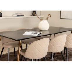 Petra t Spisebordssæt - Beige og Sort