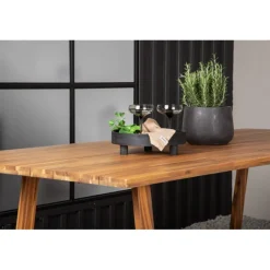 Plankton Bord - Natur