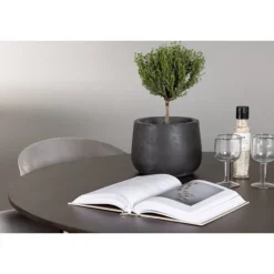 Rundt Spisebordssæt Kaseindon med stolene Evelina