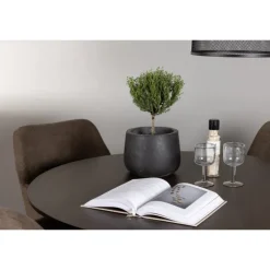 Rundt Spisebordssæt Kaseindon med stolene Tomorrow