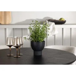 Rundt Spisebordssæt Olivia med stole Edina