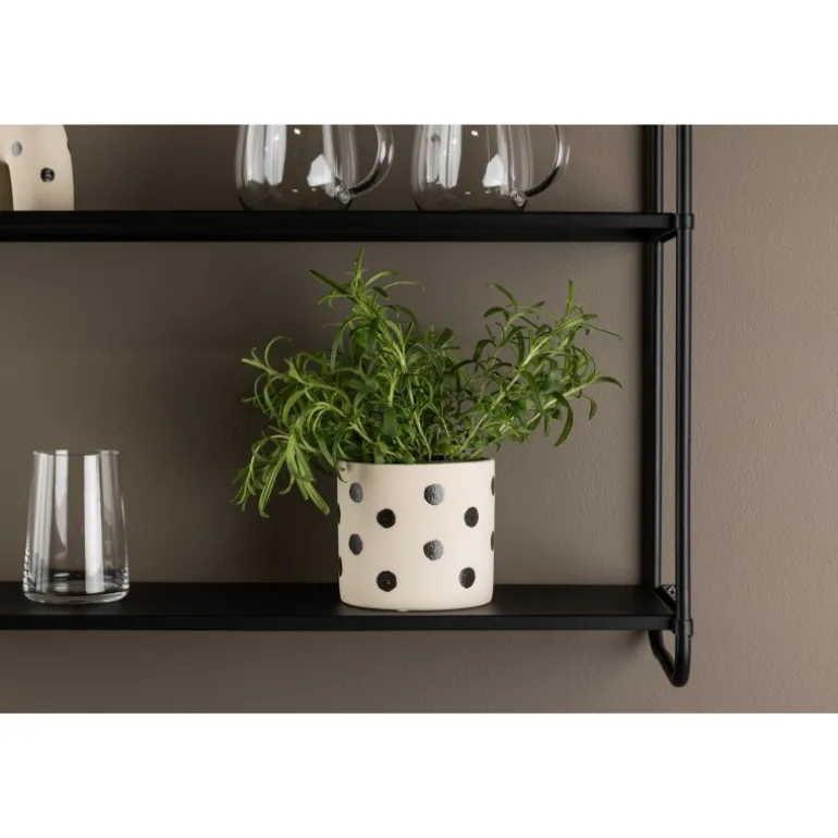 Sane Kruka - Sort og Hvid