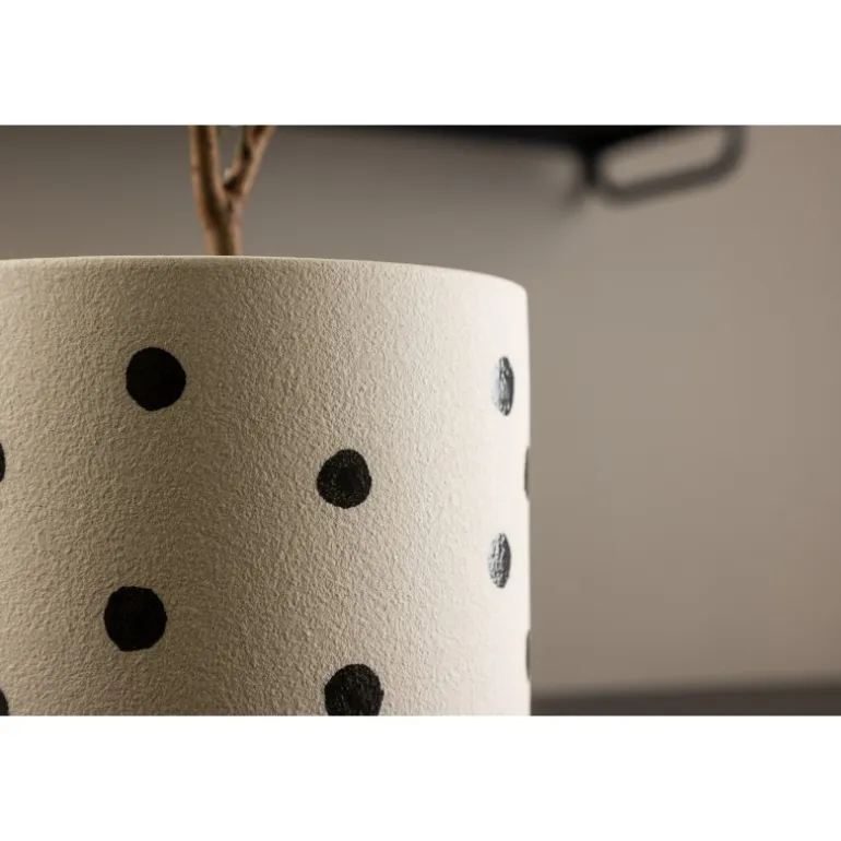 Sane Kruka - Sort og Hvid