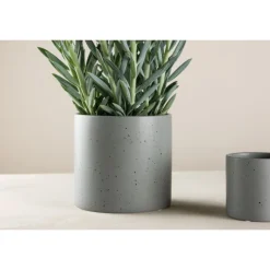 Sane Kruka - Sort og Mørkegrå