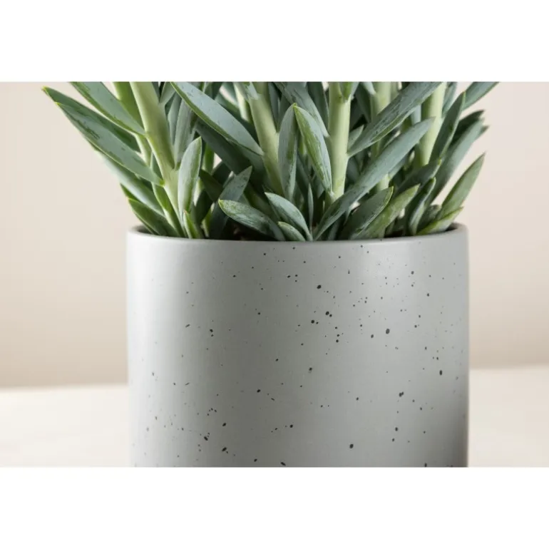 Sane Kruka - Sort og Mørkegrå