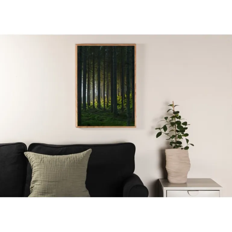 Skov Plakat - Sort og Grøn