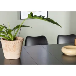 Spisebordssæt Astrid med Spisebordsstole Zeno - Sort