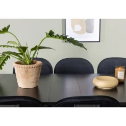 Spisebordssæt Astrid med Spisebordsstole Stella - Sort