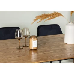 Spisebordssæt Isolde med Night stole