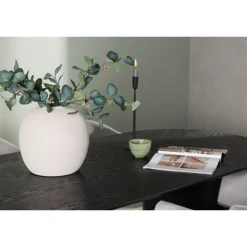 Spisebordssæt Isolde med stole Evelina