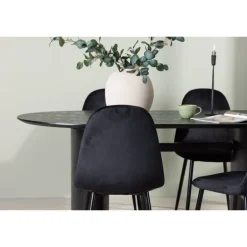 Spisebordssæt Isolde med stole Polar