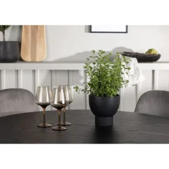 Spisebordssæt Olivia med Eva stole - Sort og Lysegrå