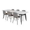 Spisebordssæt Polar med Spisebordsstole Arctic