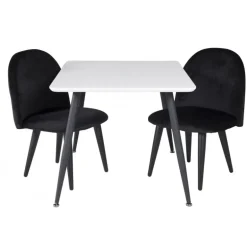 Spisebordssæt Polar spisebord 60 x 80 med 2 x Spisebordsstole i Velour