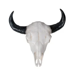 Uægte tyrehoved i sort og hvid