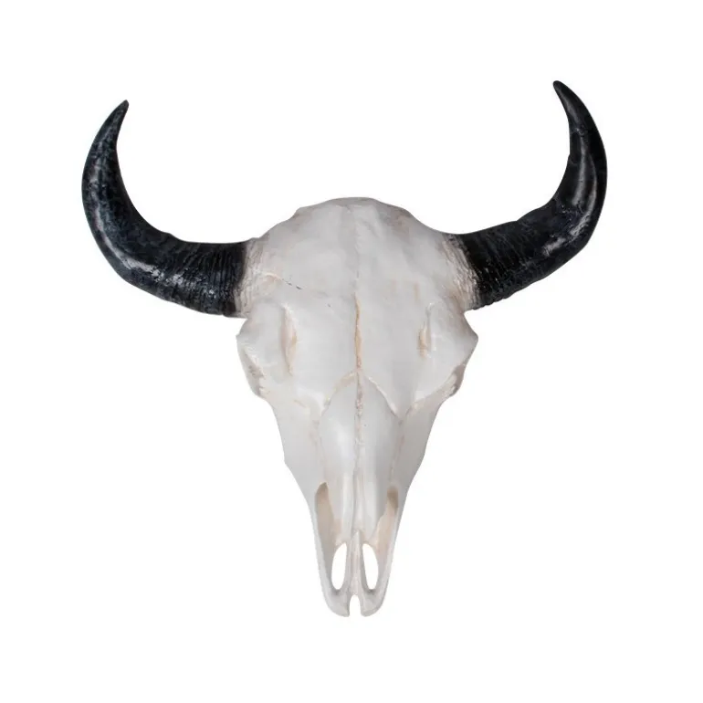 Uægte tyrehoved i sort og hvid